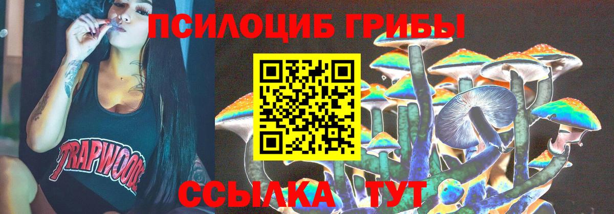 Псилоцибиновые грибы мицелий Вязьма